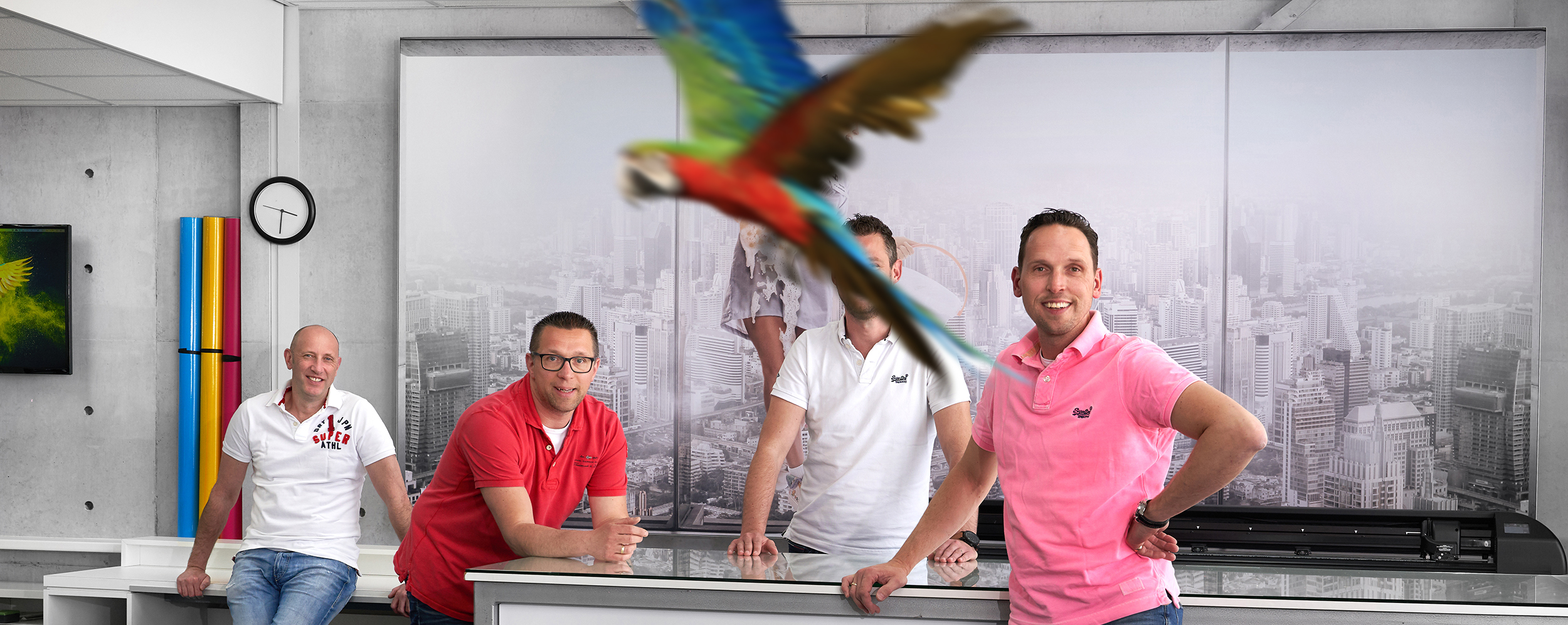Image Alt